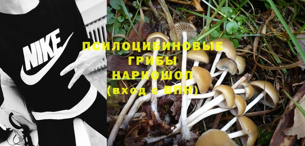 марки nbome Алзамай
